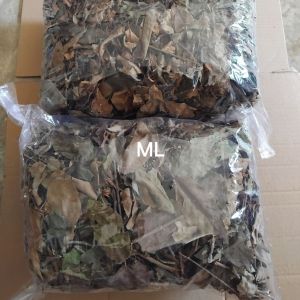 Jual benalu kering benalu kopi 1 kg