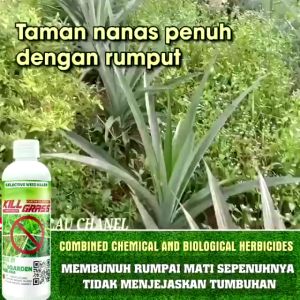Pembasmi Gulma Biologis: Beli 3 Gratis 1 Pembasmi Gulma Tanpa Merusak Tanaman