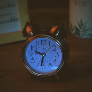 S32 Elegant Vintage-Style Twin Bell Alarm Clock with Night Light and Loud Alarm Battery Operated Non-Ticking Movement