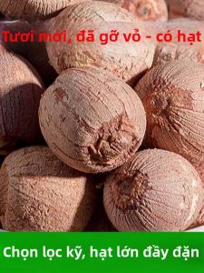 Hạt Sen Lớn Có Tim 500g