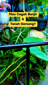 Bor Biopori Manual Spiral – Alat Pelubang Tanah Multifungsi Kompos & Resapan Air  Tinggi 90cm