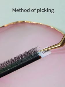 ANNAFRIS 3D W Shape Eyelash Extension Premade Volume Fans Speed Automatic Flowering Natural Soft Light Full Dense False Lashes