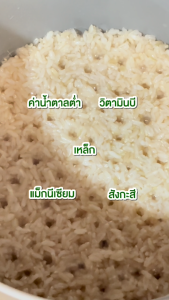 ข้าวกล้องกข43 (1 กก.) น้ำตาลต่ำ ปลอดสาร ข้าวเพื่อสุขภาพ คัดพรีเมี่ยมจากเกษตรกรโดยตรง แบรนด์บีทร้า