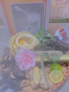 Máy Xông Hơi Da Mặt. Máy Xông Hơi Tại Nhà. - DT03