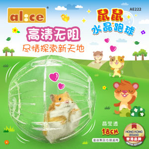 Enis Hamster Running Ball Hamster Toy/Sport Ball/Hamster Grounder Hamster Fitness Ball Djungarian Hamster