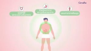 10 พลัส กิฟฟารีน โพรไบโอติก ช่วยในการนอนหลับ และดูแลลำใส ไม่ลักษณะในการขับถ่าย จุลินทรีย์ไบโอติกมีสายพันธ์เป็น 10 สาย