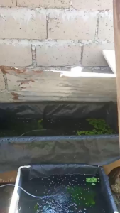 CHUANGCHAO 18-46W High-Performance Aquarium AirPump with Accessory Kit Magnetic AirCompressor for Fish Tanks