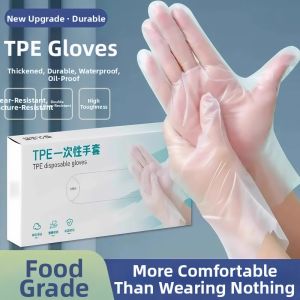 Disposable Plastic PE Gloves for Eating Lobster Easy Pull Dispensing