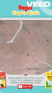 BAGUS Kapur Ajaib Pak Isi 6 Anti Kecoa dan Semut / Anti-Insect Chalk