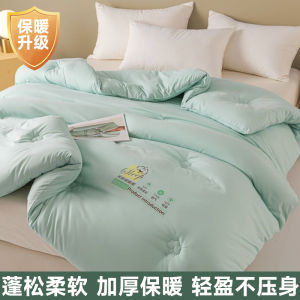 Thick Winter Quilt Warm Spring Autumn Summer Durable Student Dormitory Single Bed Cotton Core Heating Air Conditioner Quilt