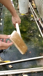 Chổi sắt không rỉ vệ sinh sân vườn cà rong rêu sân gạch bể bơi