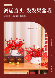 WE 4022 = 红果发财果摆件 Red Fruit Prosperity Ornament Ready stock in Malaysia