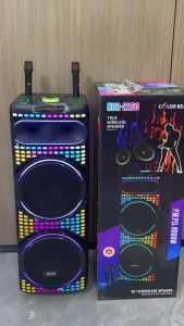 PORTABLE SPEAKER NDR-2260 WIRELESS BLUETOOTH SPEAKER 12"*2 USB/TWS/BT/FM/TF/Remote Control /Wireless mic