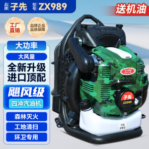 High Power Gasoline Leaf Blower Back Pack Type Greenhouse Snow Blower Powerful Construction Dust Remover Tool by ZX1020