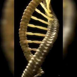 Mutant CREAKONG CX8 Creatine Monohydrate + Amino Acid Supplement Increase strength power & stamina 249g - 300g