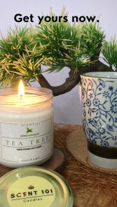 Scent 101 / TEA TREE / Soy Wax Scented Candle / 200 Grams