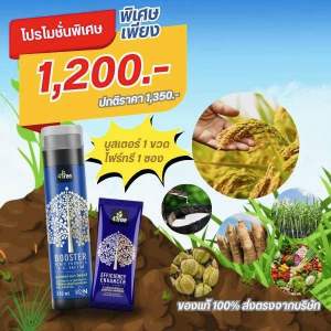 4Tree Booster (โฟร์ทรี + บูสเตอร์) คู่หูพลังดูดซึมไว ทนแล้ง ทนหนาว ทนโรค สำหรับพืชทุกชนิด สกัดจากไคโตซานบริสุทธิ์ ของแท้ 100%