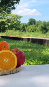 Granola - Ngũ cốc hạt loại bịch 400g sấy mật ong không đường Tây Nguyên Food - Việt Nam