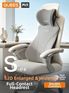 QUEES | Ergonomic Back Support Pillow