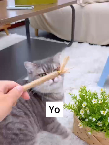 ขัดฟันแมว ไม้แปรงฟันแมว 100% จากธรรมชาติ Teeth stix ขัดฟันไม้ ไม้ขัดฟันแมว ไม้มาทาทาบิ ไม้ขัดฟันแมว สําหรับสัตว์เลี้ยง ของเล่นสัตว์เลี้ยง ล่อแมว