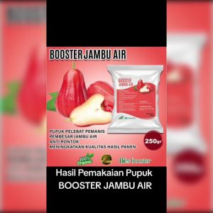 Pupuk Booster Organik Jambu Air 250gr pelebat pemanis pembesar jambu air anti rontok