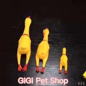 Gà la hét đồ chơi thú cưng phát ra âm thanh cho chó mèo dễ thương cute - GiGi Pet Shop