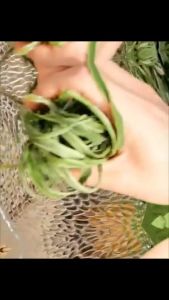 500gr RAU TIẾN VUA SẤY KHÔ loại 1 ( xanh non giòn)