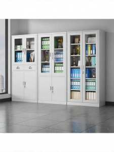 MOLORE | Office Lockable File Cabinet