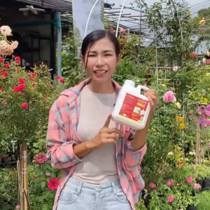 เซตคู่ กำจัดเพลี้ย ไร หนอนทุกชนิด สูตรเข้มข้น 10 เท่า กำจัดเพลี้ยดื้อยาได้ดี ไม่ทำให้ใบไหม้