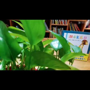 FORMINDS【🇲🇾现货】精装正版【胆小鬼威利 威利和朋友 梦想家威利 威利的画 魔术师威利 大英雄威利 威利的奇遇】幼儿童早教启蒙阅读 安东尼布朗系列 绘本 图画书 故事书 儿童书