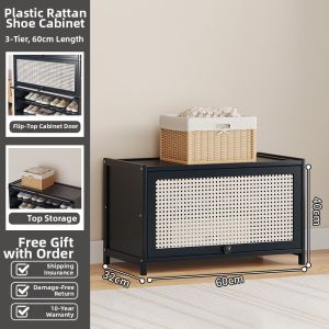MOLORE | Modern Minimalist Rattan Shoe Cabinet Dustproof Storage