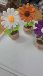 Chậu hoa mini len làn quà lưu niệm quà tặng ý nghĩa