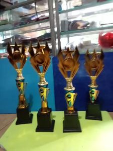 {\n    \"article\": \" Piala Lomba Juara 1 2 3 4 (FTG BINTANG BODY BIRU RASER) \\\"costum\\\" FREE STICKER (BOLEH satuan)TERMASUK SETICKER DAN FREE DESIGN