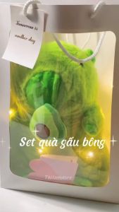 Set quà tặng kèm túi đựng Gấu bông cao cấp mềm mịn tặng bạn gái người thân siêu xinh