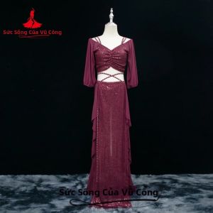 Bộ Trang Phục Múa Bụng Tay Ngắn Dành Cho Nữ 2 Món Trang Phục Chuyên Nghiệp Phong Cách Phương Đông Với Áo Và Chân Váy Dài Xẻ Tà Dùng Để Khiêu Vũ