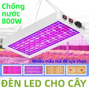 Đèn LED Trồng Cây 800W Quang Phổ Đầy Đủ Dùng Cho Nhà Kính Lều Trồng Cây Rau Hoa Trong Chậu Thủy Canh Trồng Trọt Bổ Sung Ánh Sáng IR UV
