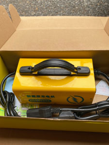 ชาร์จเตอร์รถสี่ล้อ Leimao 60V15A ไร้การบำรุงรักษา ชาร์จเตอร์พลังงานใหม่ หัวชาร์จสองช่อง ชาร์จเตอร์แบตเตอรี่อุปกรณ์