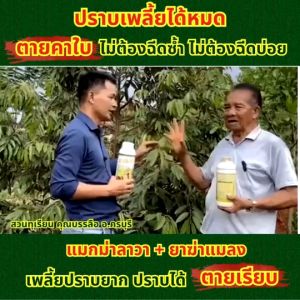 ปุ๋ยลาวา (ชุด 3 ขวด) บรรจุขวดละ 500 cc. ปุ๋ยสูตรพิเศษสูตรเข้มข้นใช้คู่กับสารจับใบได้ผลดีมากมีประสิทธิภาพสูง ใช้ได้กับพืชทุกชนิด