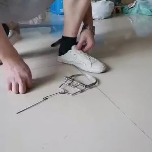 5Pcs Metal Spring Mousetrap Repeller Rat Trap Spring Load Mouse Trap Catcher For Catching Mouse