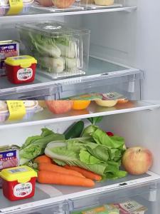 XINGYOU | Transparent Food-grade Fresh-keeping Box