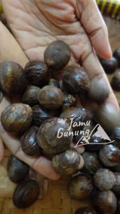 Biji Pala Bulat Kering Asli Organik - Lebih Berasa!!