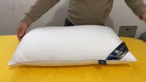 【BUY 1 TAKE 1】18X28 inch white hotel high-quality pillow high-quality cotton promote sleep protect the spine