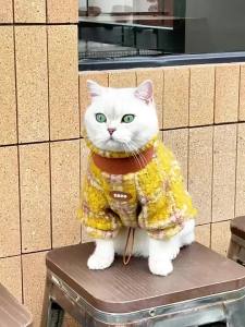 Áo Khoác Giữ Ấm Cho Thú Cưng Mùa Đông zeze