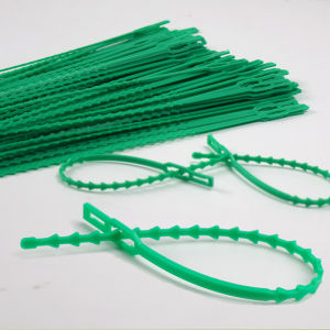 Plant cable ties are reusable shrub fasteners garden tree climbing supports grapevines and tomato stem clips