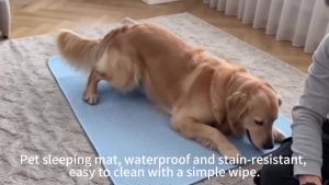 Summer New Thick Pet Cooling Pad with Cute Bear Pattern Washable Ice-Like Smooth Pet Mattress Outdoor Indoor Use For Dog And Cat