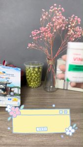 Tăm Nhựa VINON – Combo 2 Hộp (250 Cây/Hộp) – Đầu Xương Cá Mềm Êm Nướu Đúc Nguyên Khối An Toàn