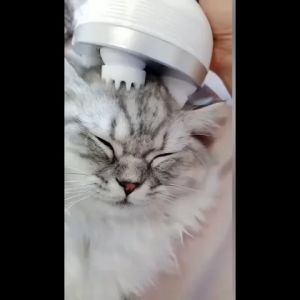 เครื่องนวดแมว เครื่องนวดศีรษะหัวแมวและสุนัข เครื่องนวดคอและไหล่ เครื่องนวดหนังศีรษะเครื่องนวดศีรษะคลายเครียด