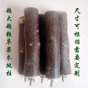 Totoro Squirrel Guinea Pig Honey Hamster Molar Apple Branch Stick Supplies Applewood Jumping Column Love Bird Stand Stick Bar