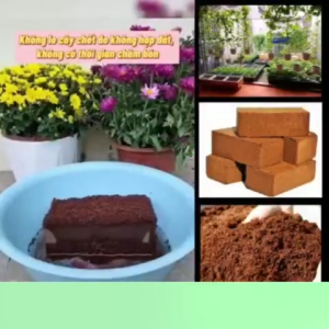 (Viên dừa gạch) Combo 10 VIÊN NÉN XƠ DỪA Đất Trồng Cây Hữu Cơ Tiện Lợi Giàu Chất Dinh Dưỡng