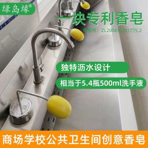 Green Island Soap Holder Wall Mounted Antibacterial Soap for Kindergarten Children Eco Friendly Home Use Replacement Soap